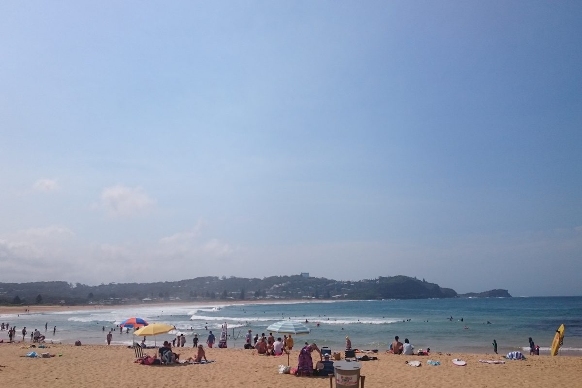 Families on the sand at Avoca Beach on a summer day