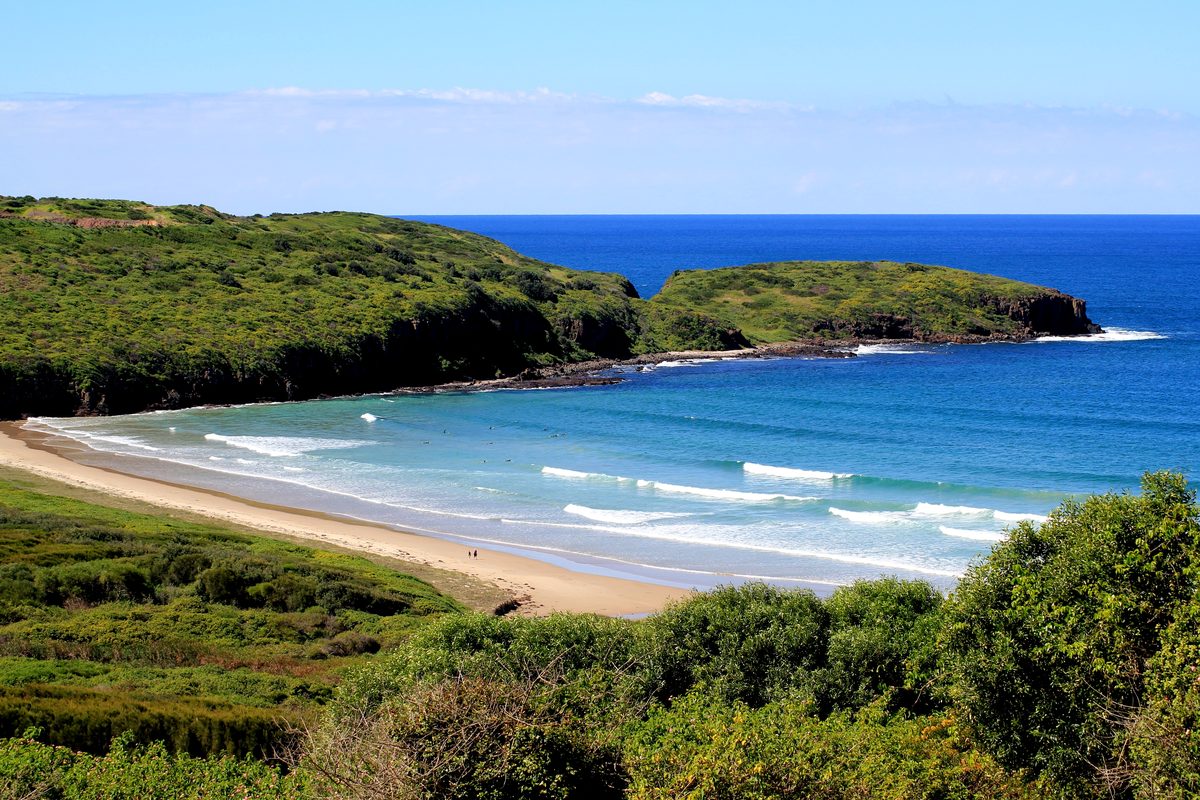 The beach and headland at Killalea Regional Park, Shell Cove