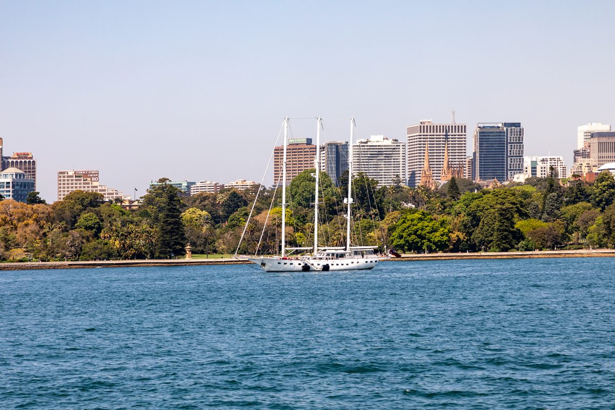 Farm Cove and the Royal Botanic Garden with the city skyline behind