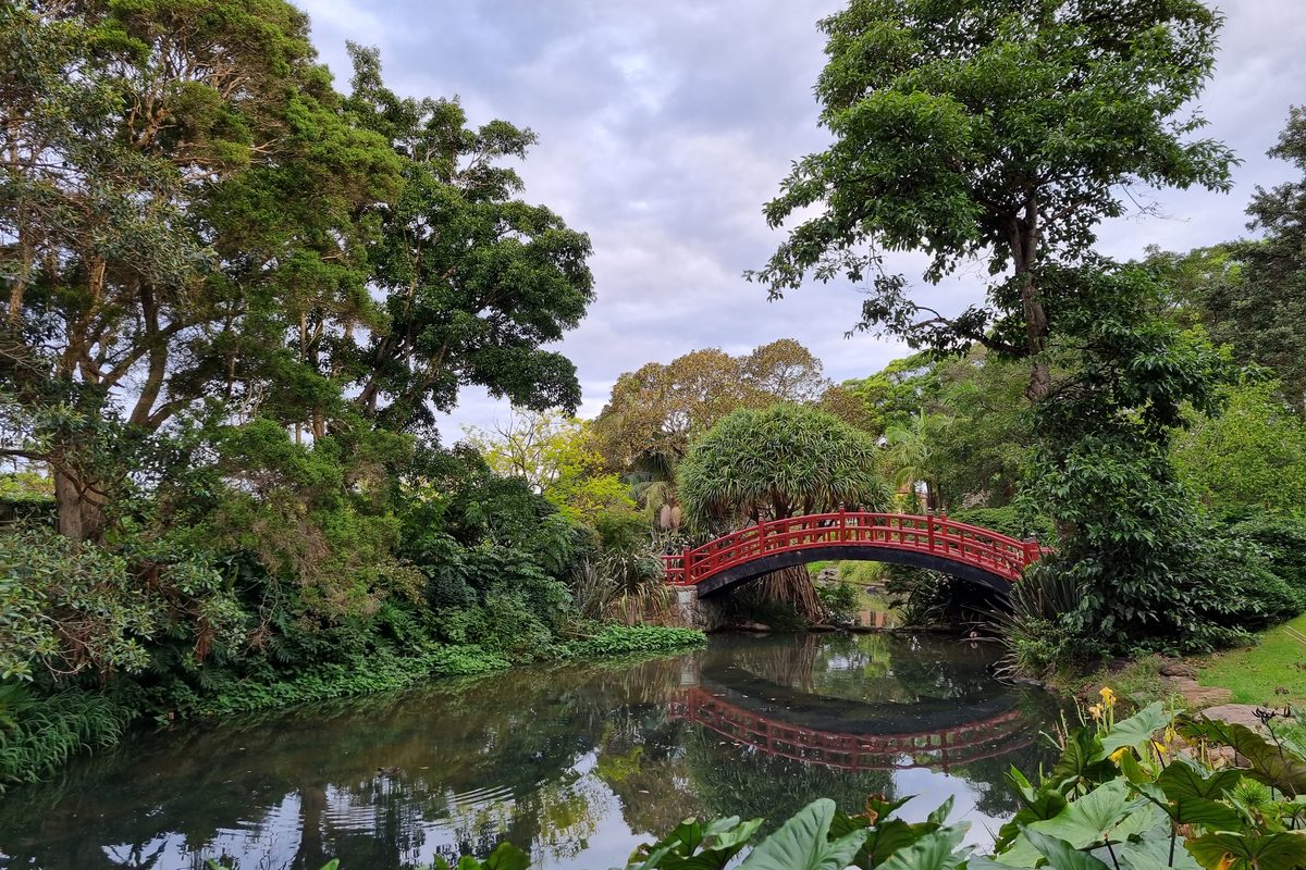 The red bridge over the pond at Wollongong Botanic Garden